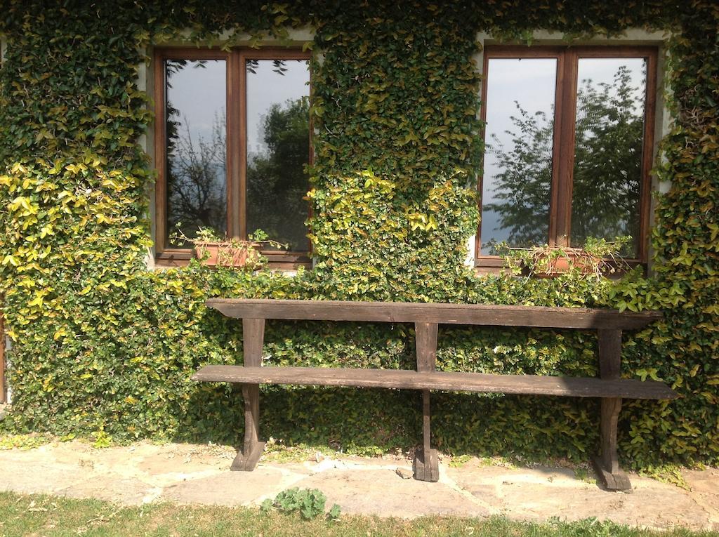 Apartamento Il Ciliegio Selvatico Verbania Exterior foto