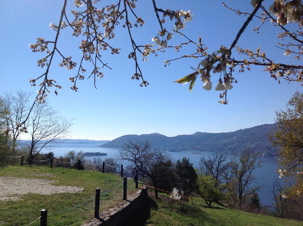 Apartamento Il Ciliegio Selvatico Verbania Exterior foto