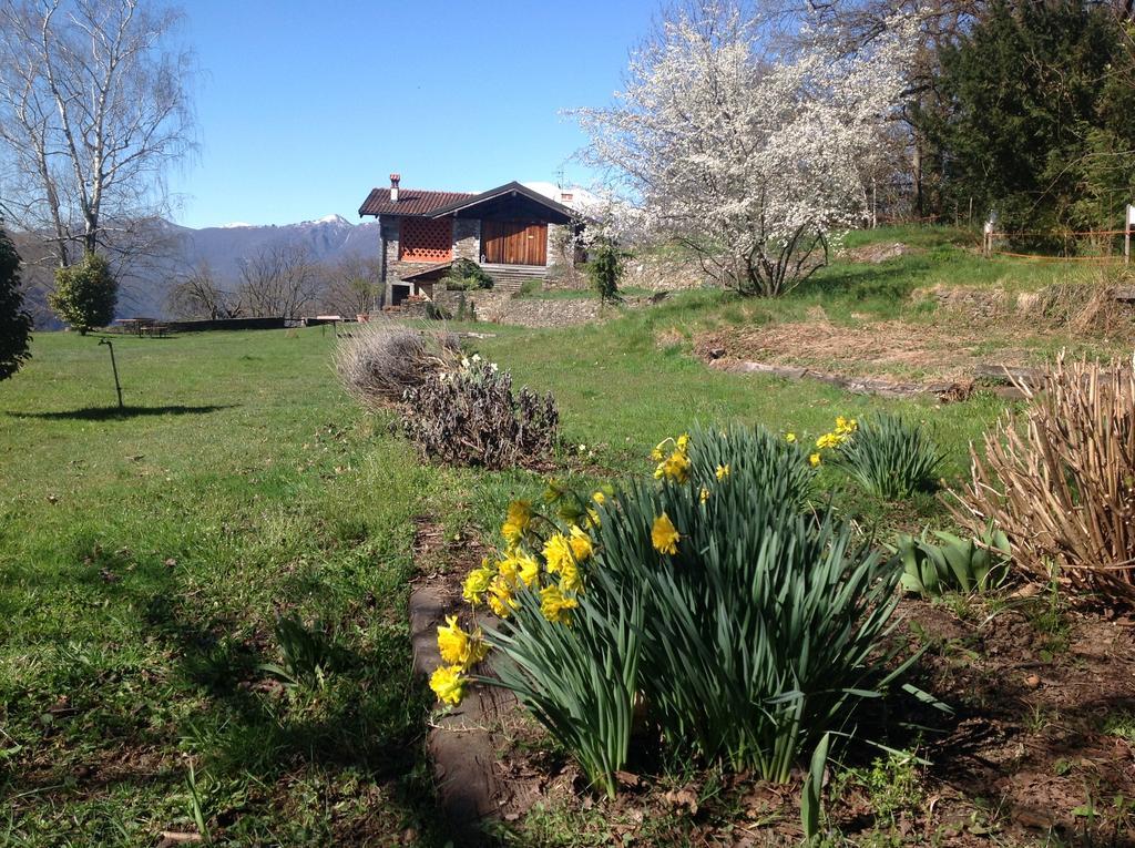 Apartamento Il Ciliegio Selvatico Verbania Exterior foto