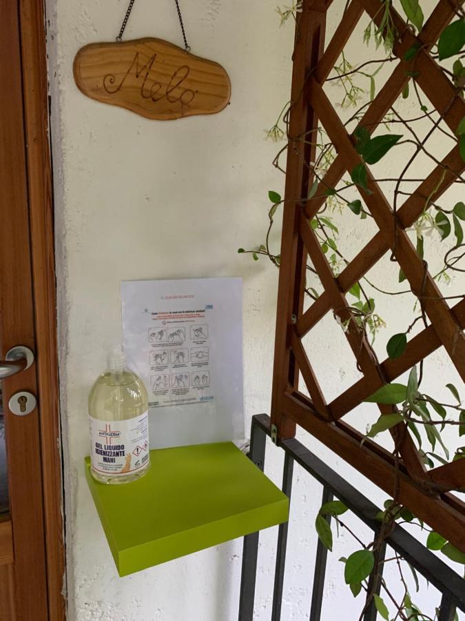 Apartamento Il Ciliegio Selvatico Verbania Exterior foto